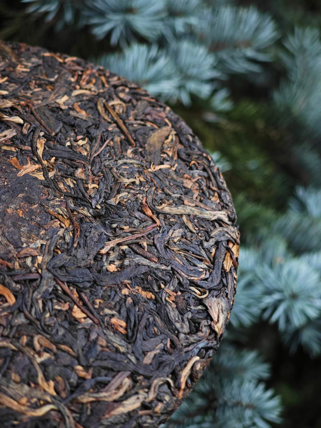 Tea Cake Tasting Portions: 薄荷塘 生 2011 "Bohetang-Ancient Tree-Gaogan Gushu, Sheng Pu Erh", 50g