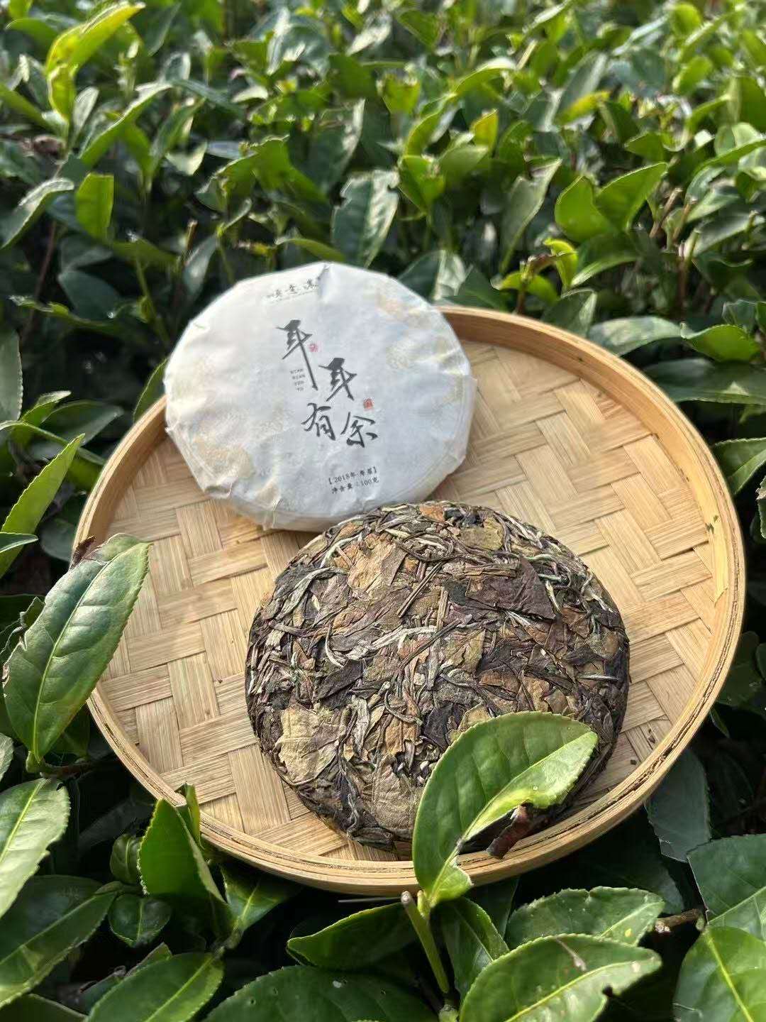 老寿眉小饼 2017 Lao Shou Mei White Tea Cake Panxi Village, Fuding, Fujian • 100g Cake - 6leaves 357