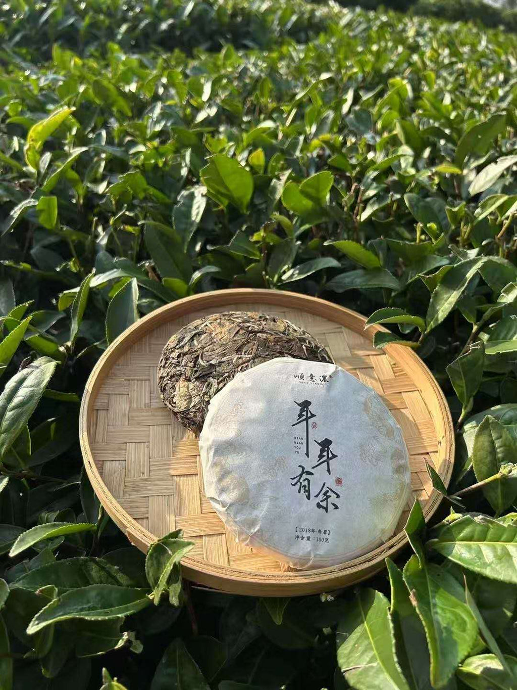 老寿眉小饼 2017 Lao Shou Mei White Tea Cake Panxi Village, Fuding, Fujian • 100g Cake - 6leaves 357