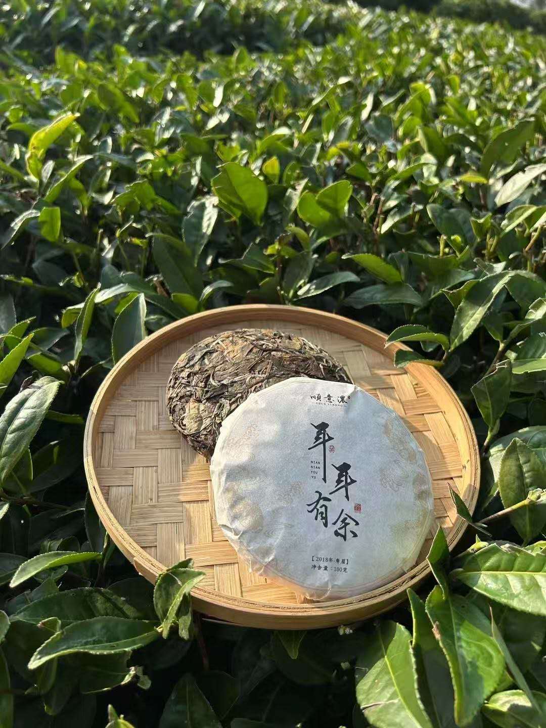 老寿眉小饼 2017 Lao Shou Mei White Tea Cake Panxi Village, Fuding, Fujian • 100g Cake - 6leaves 357