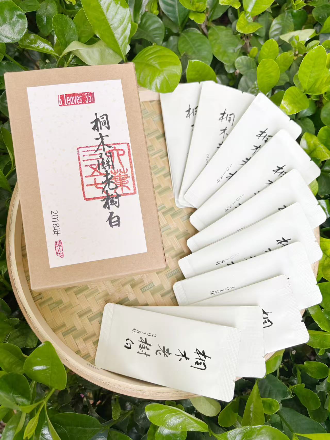 桐木关老树白 2018 Tongmuguan Laocong Baicha, Fujian, 10 Pieces (6g per piece) in a Package - 6leaves 357