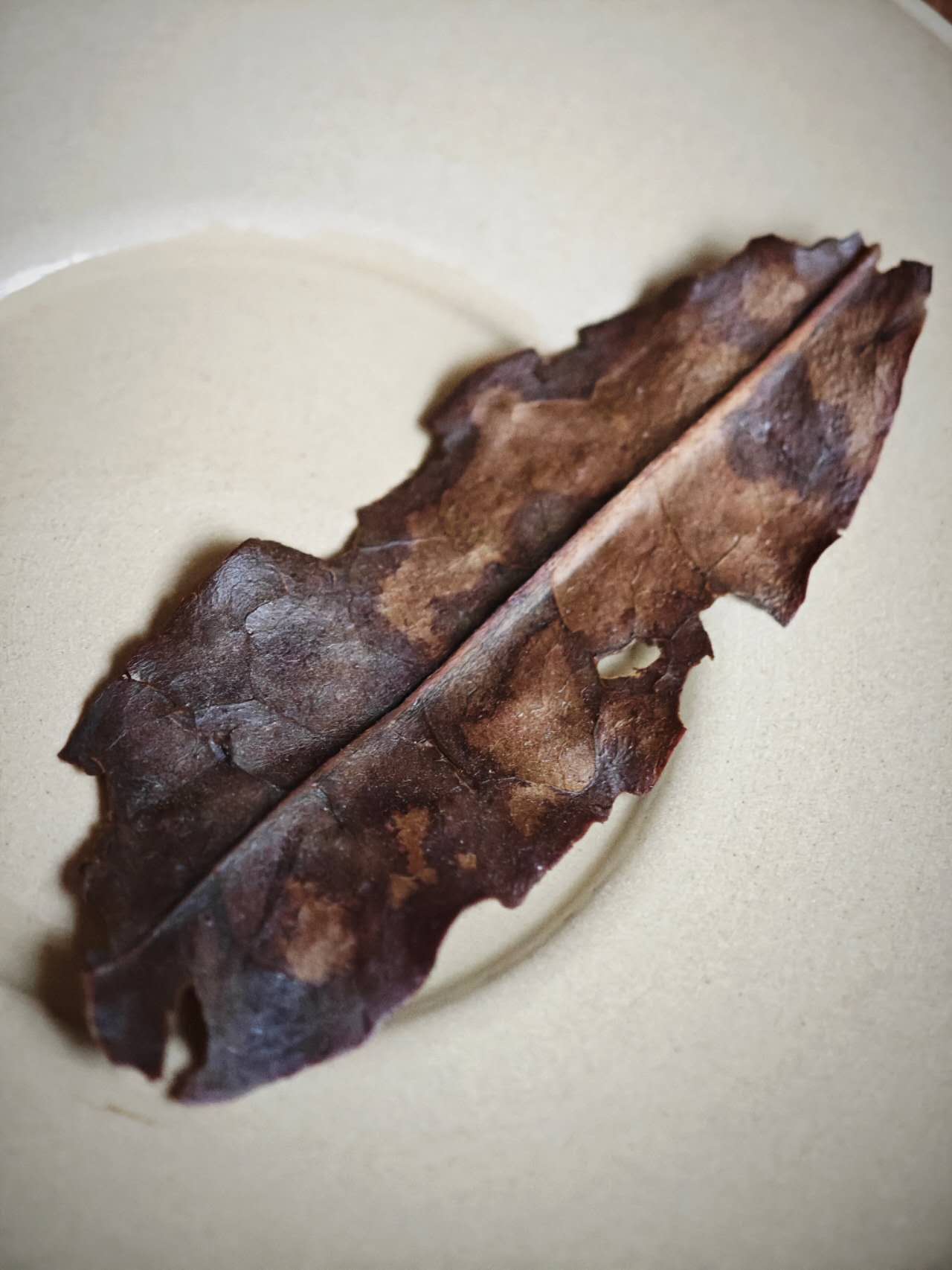 桐木关老树白 2018 Tongmuguan Laocong Baicha, Fujian, 10 Pieces (6g per piece) in a Package - 6leaves 357