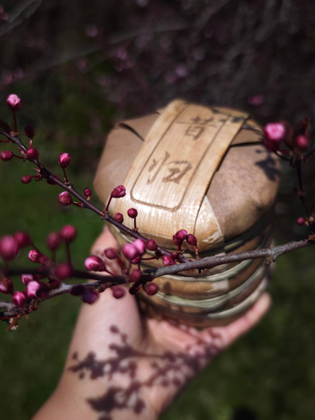 古树生昔归 2024 Gushu Sheng "Xi Gui", 400 - year - old ancient tee tree, 100g Cake - 6leaves 357