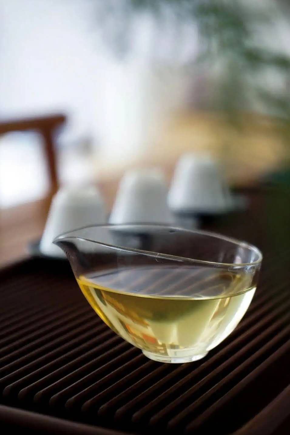 古树生昔归 2024 Gushu Sheng "Xi Gui", 400 - year - old ancient tee tree, 100g Cake - 6leaves 357