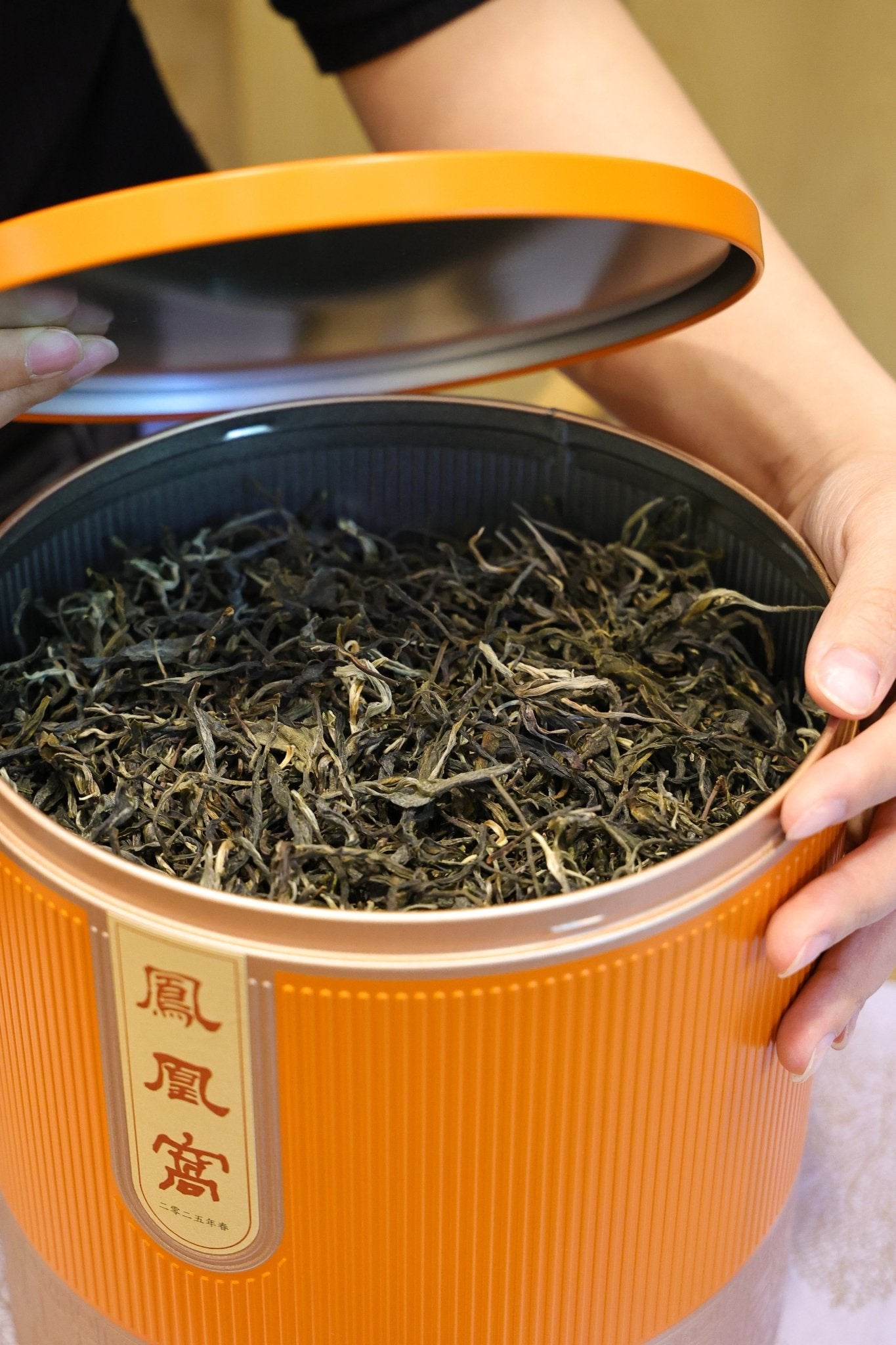 古树毛茶凤凰窝 2025 Early Spring "Fenghuangwo - Phoenix Nest" Ancient Tree Maocha (300+ Years Old) - Yiwu Mountain, Xishuangbanna, 50g Package - 6leaves 357