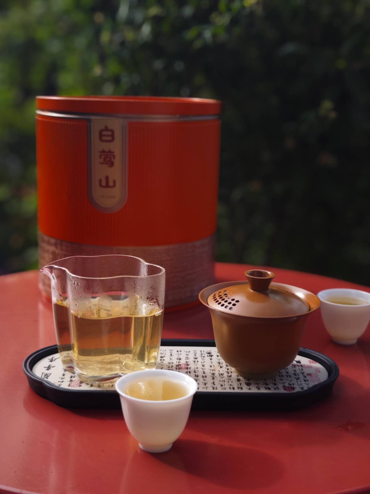 古树毛茶白莺山 2025 Gushu Maocha "BaiYingShan" Lincang Yunnan 50g Package - 6leaves 357