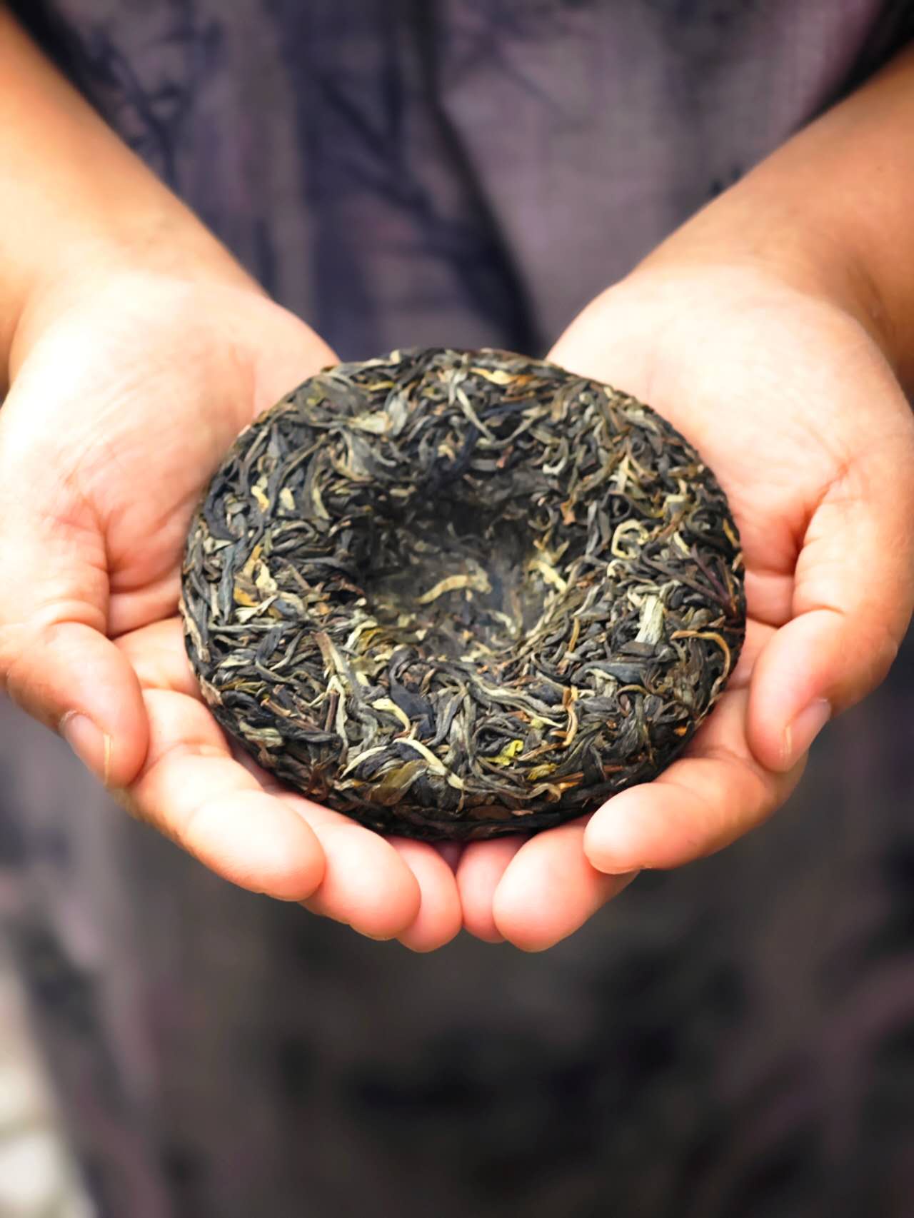 古树凤凰窝小饼 2025 Gushu Sheng "FengHuangWo - Phoenix Nest" 100g Cake - 6leaves 357