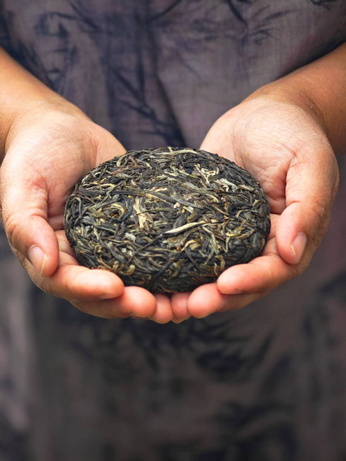古树凤凰窝小饼 2025 Gushu Sheng "FengHuangWo - Phoenix Nest" 100g Cake - 6leaves 357