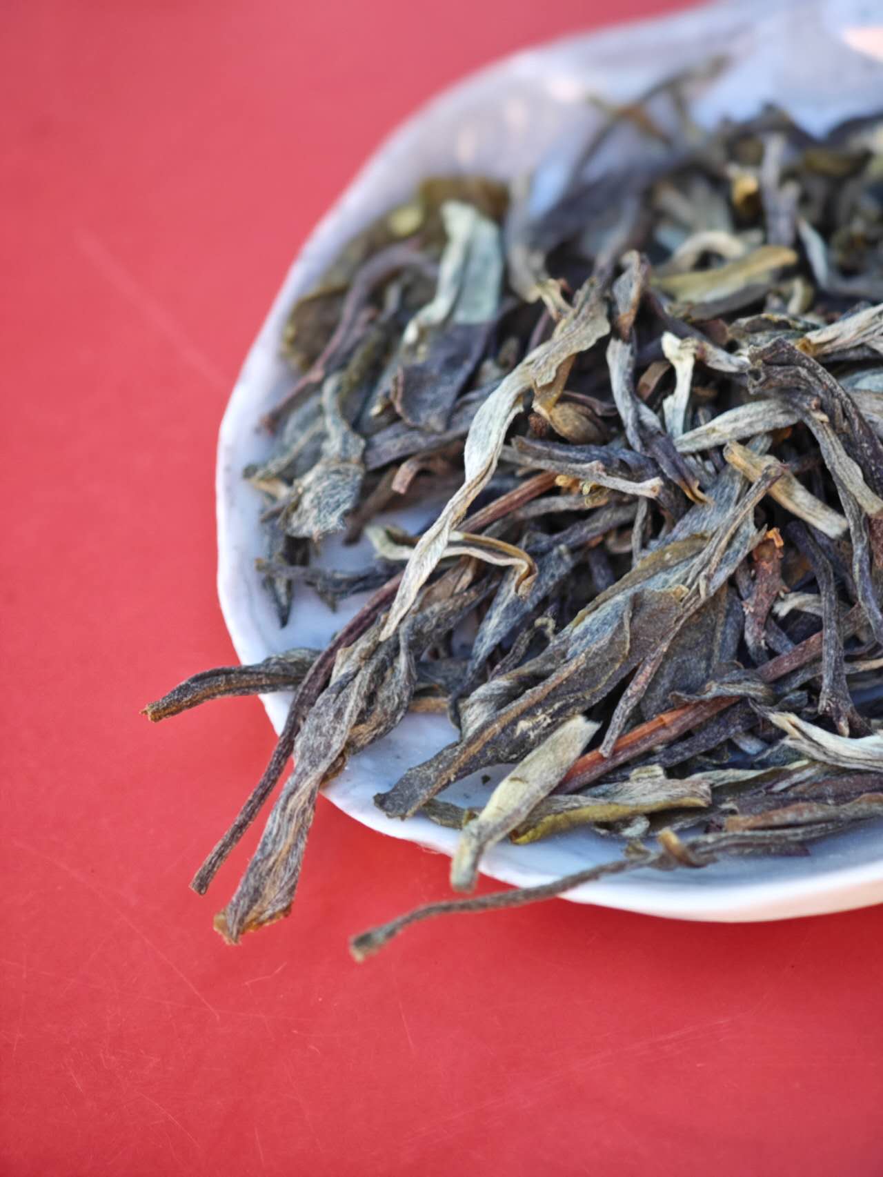 古树白莺山小饼 2025 Gushusheng "BaiYingShan" - over 300 year ancient Tree, Lincang, Yunnan, 100g Cake - 6leaves 357