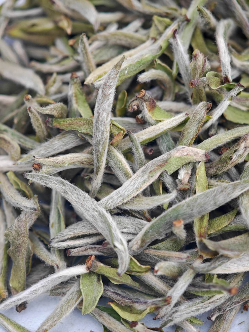 福鼎白毫银针 2025 White Tea spring first flush wild Bai Hao Yin Zhen 30g Package - 6leaves 357