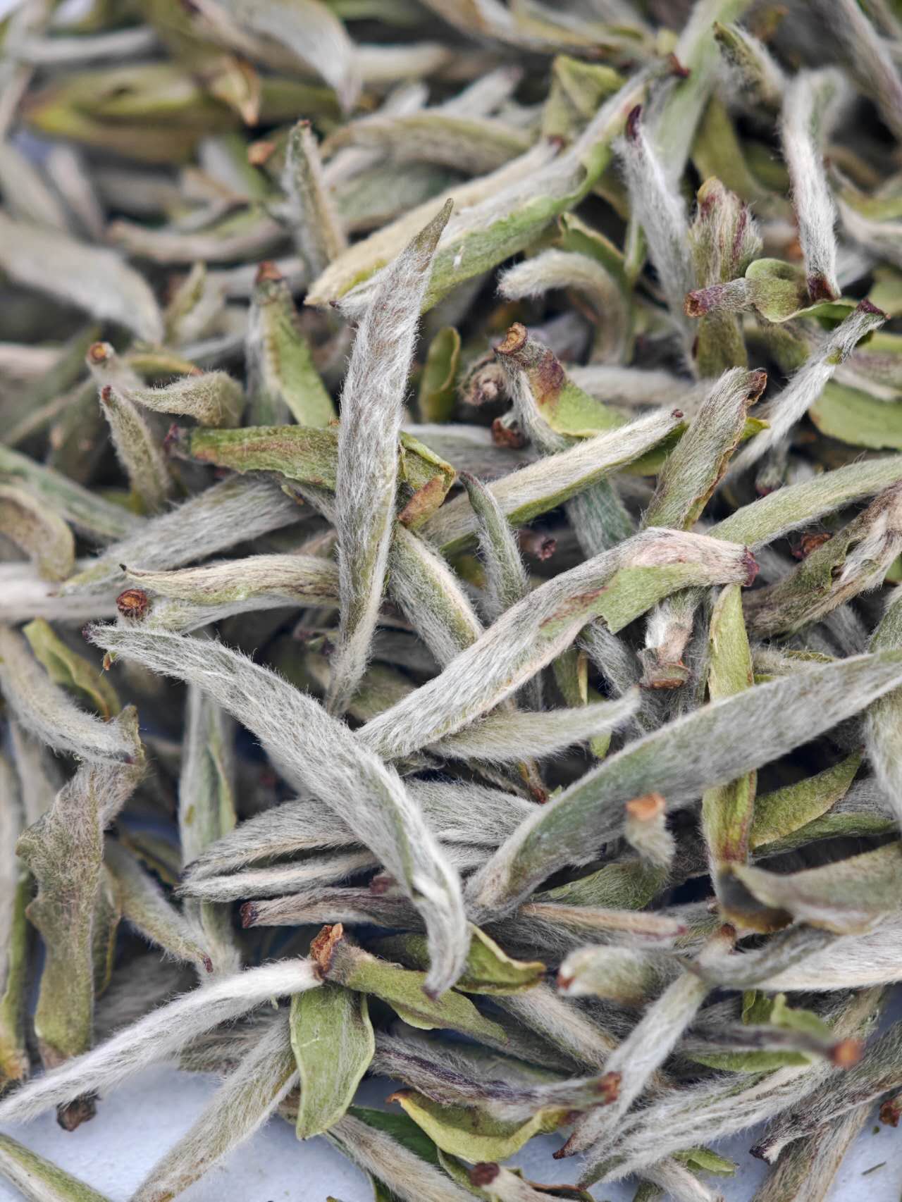 福鼎白毫银针 2025 White Tea spring first flush wild Bai Hao Yin Zhen 30g Package - 6leaves 357