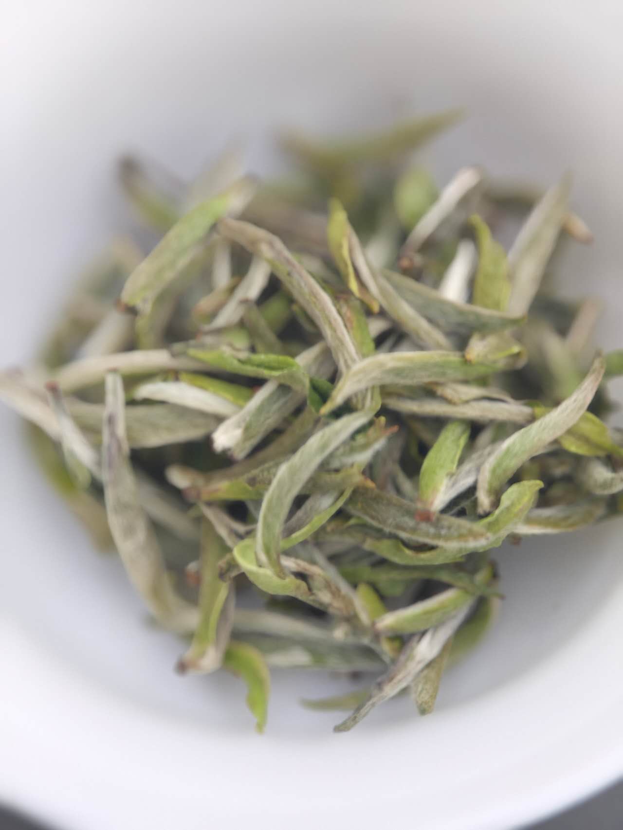 福鼎白毫银针 2025 White Tea spring first flush wild Bai Hao Yin Zhen 30g Package - 6leaves 357