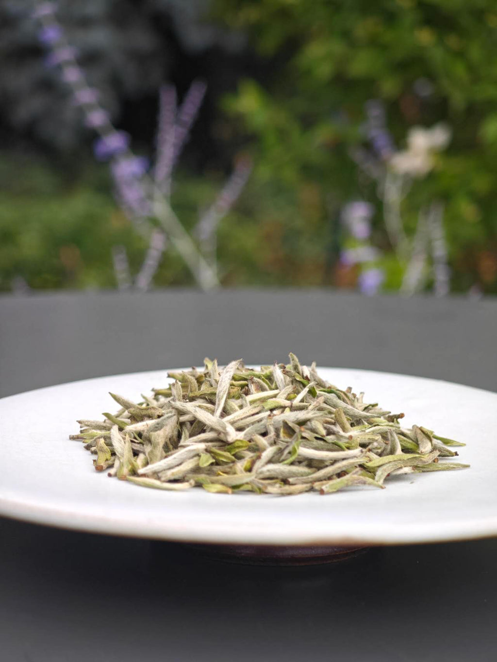 福鼎白毫银针 2025 White Tea spring first flush wild Bai Hao Yin Zhen 30g Package - 6leaves 357