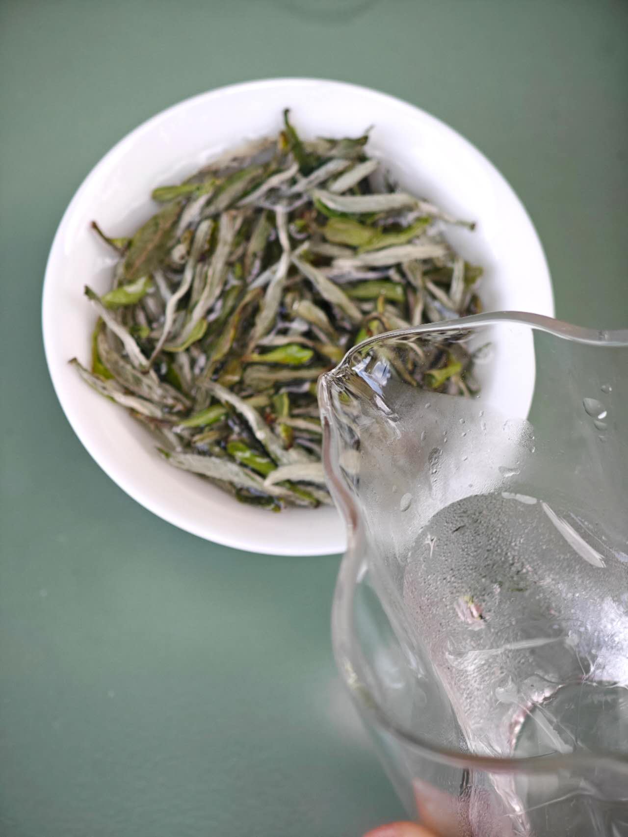 福鼎牡丹王 2025 White Tea spring wild Mu Dan Wang - King of Bai Mu Dan 50g Package - 6leaves 357
