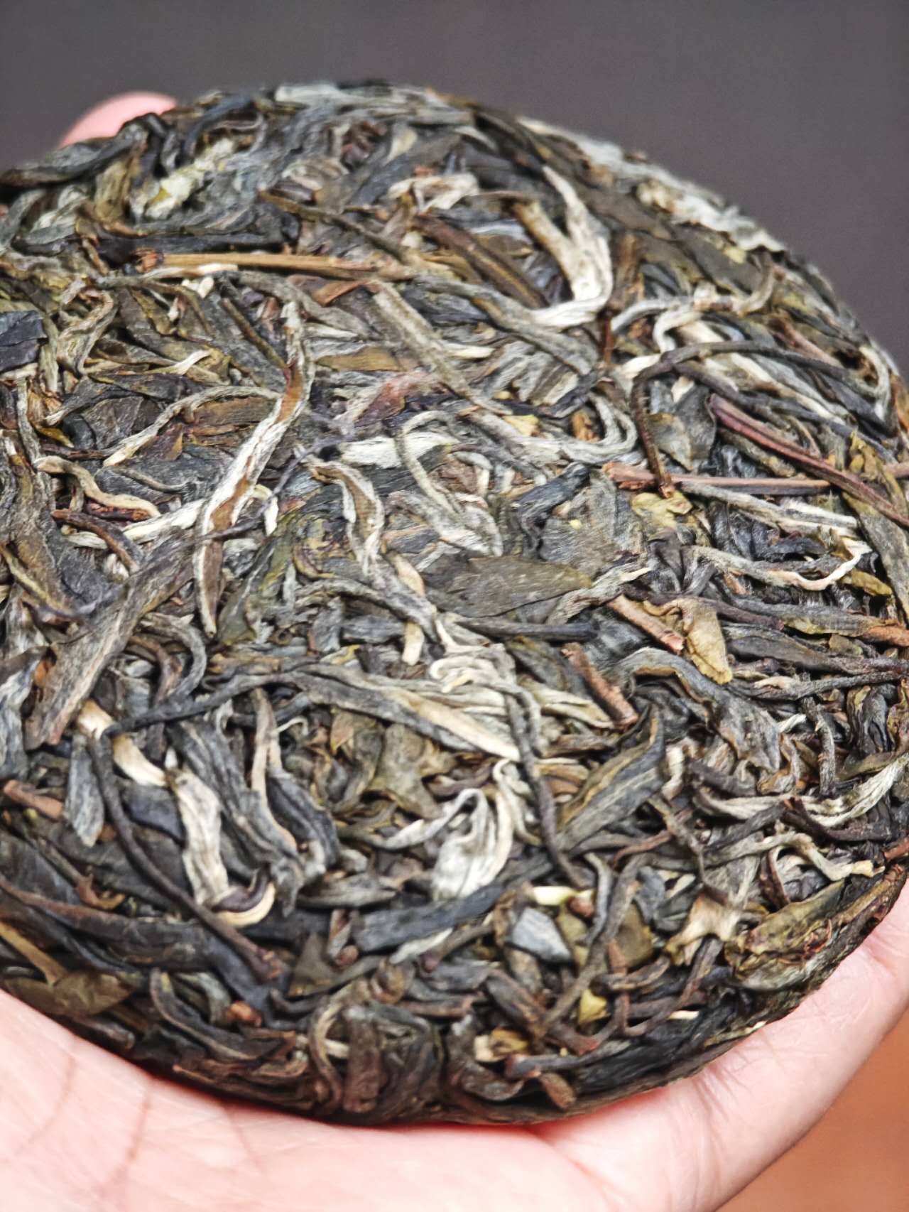 古树白莺山小饼 2025 Gushu Sheng "BaiYingShan"- over 300 year ancient Tree, Lincang, Yunnan, 100g Cake