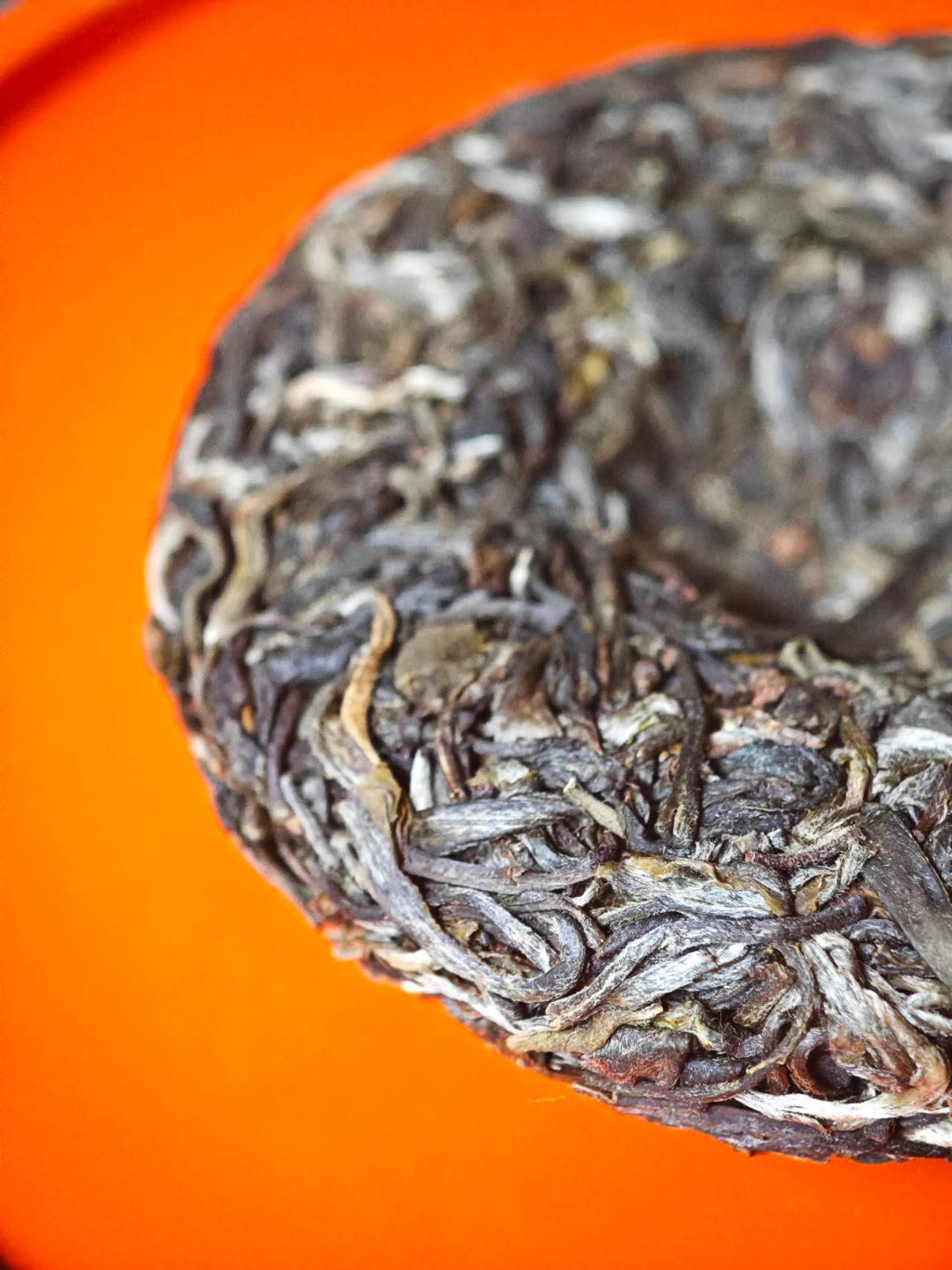 古树白莺山小饼 2025 Gushu Sheng "BaiYingShan"- over 300 year ancient Tree, Lincang, Yunnan, 100g Cake