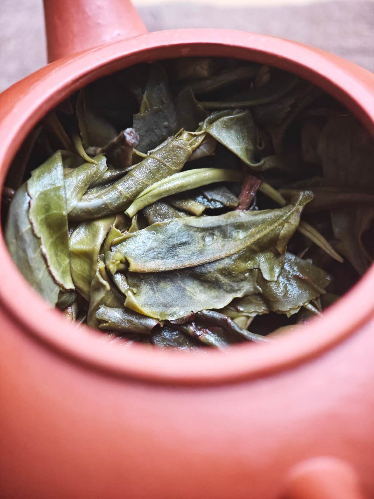 古树白莺山小饼 2025 Gushu Sheng "BaiYingShan"- over 300 year ancient Tree, Lincang, Yunnan, 100g Cake