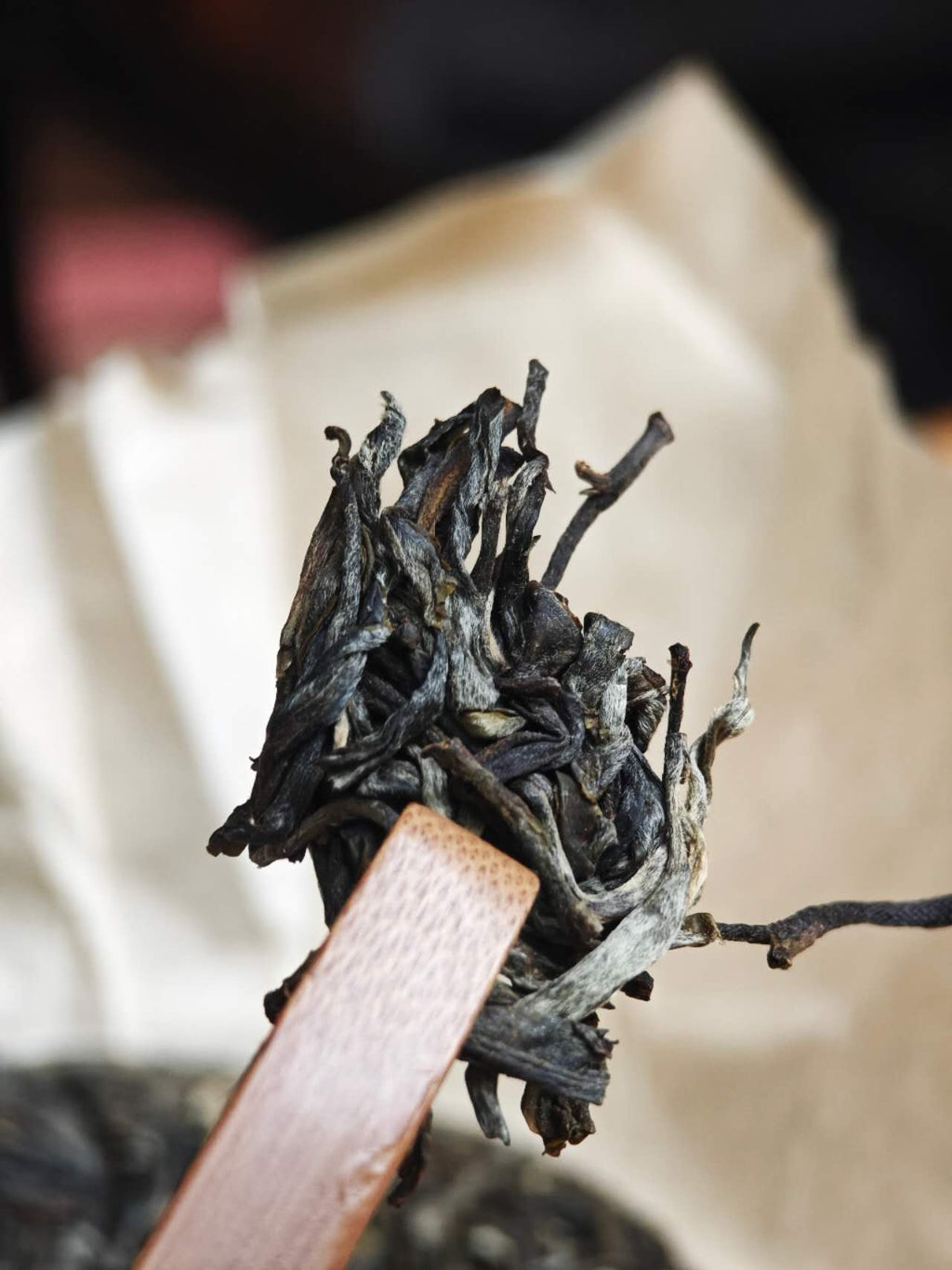 古树白莺山小饼 2025 Gushu Sheng "BaiYingShan"- over 300 year ancient Tree, Lincang, Yunnan, 100g Cake