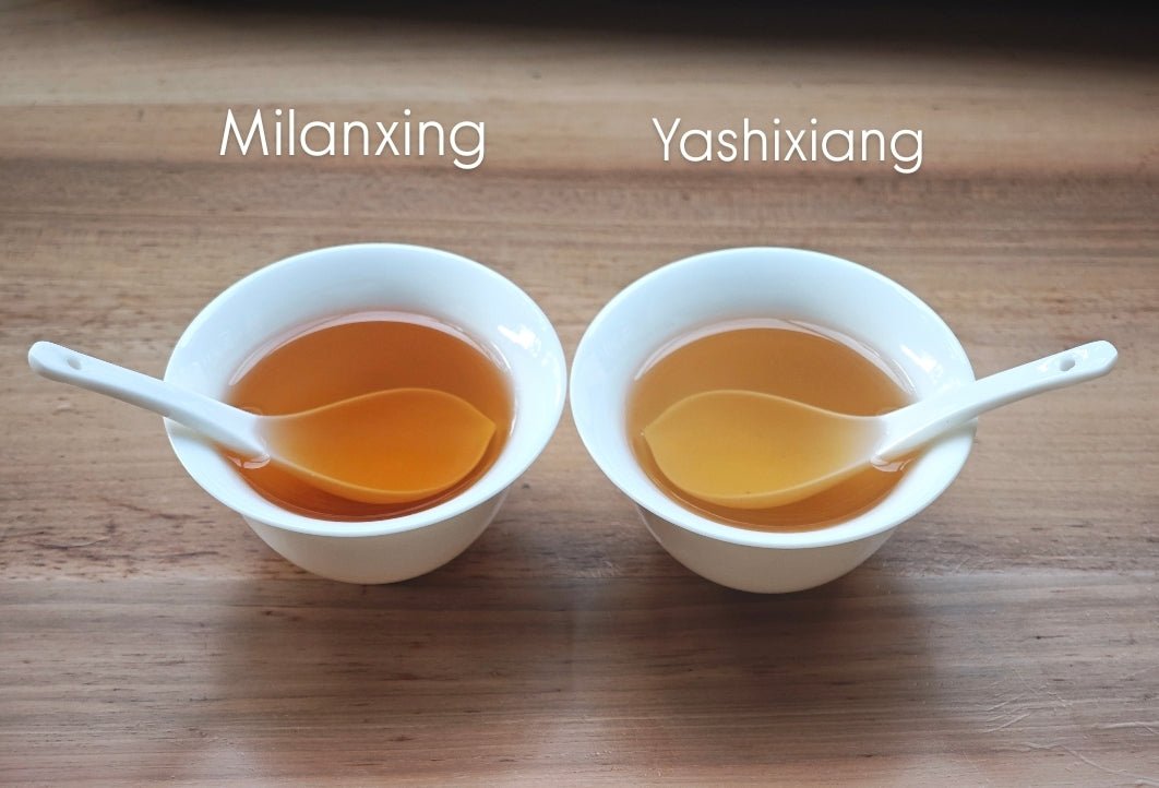 高山单枞鸭屎香 Fenghuang Dancong 2025 spring "Ya Shi Xiang - Duck Shit", 100g Package - 6leaves 357