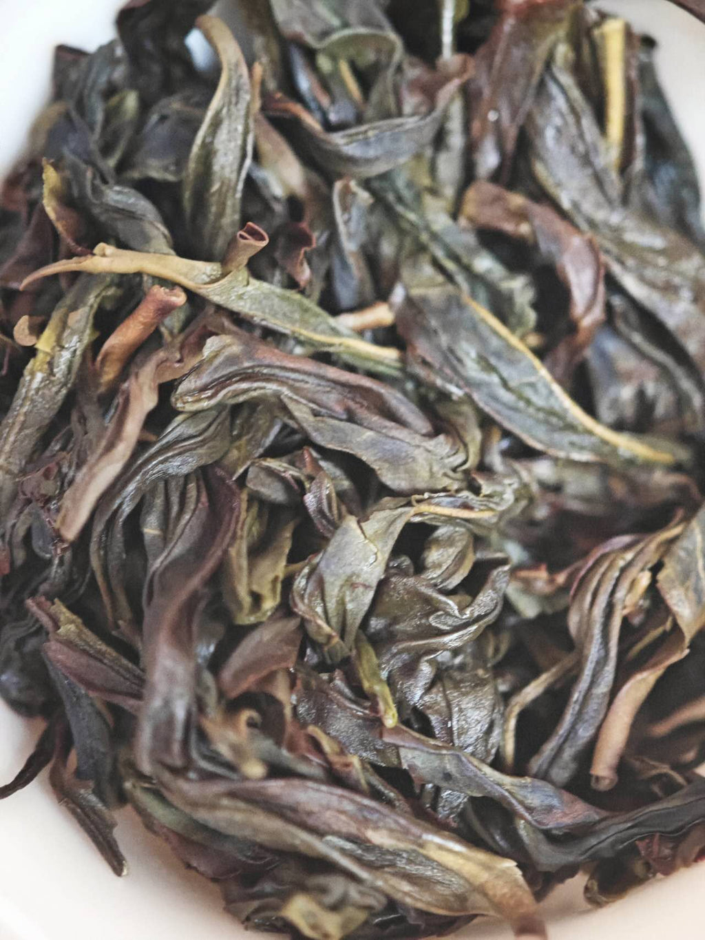 高山单枞鸭屎香 Fenghuang Dancong 2025 spring "Ya Shi Xiang - Duck Shit", 100g Package - 6leaves 357