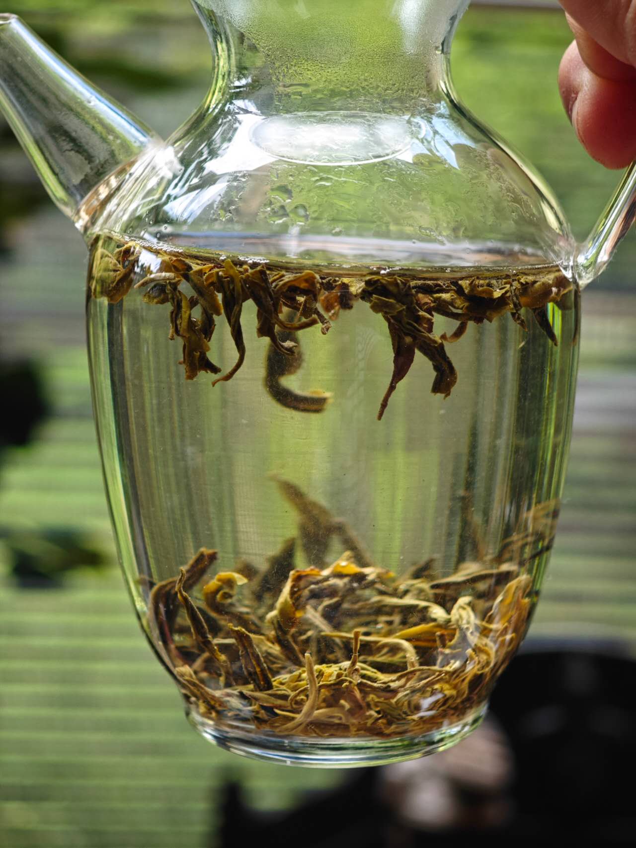 福州茉莉香雪芽 Fuzhou Moli Xiang Xue Ya - Jasmine Sweet Snow Bud 100g Package - 6leaves 357