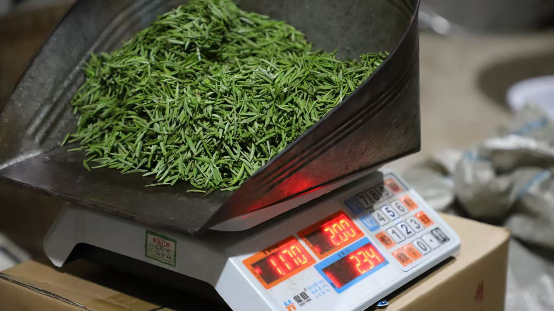 桐木关金俊眉 Hong Cha - Core area - Tongmuguan "Jin Jun Mei 2x5g Package - 6leaves 357