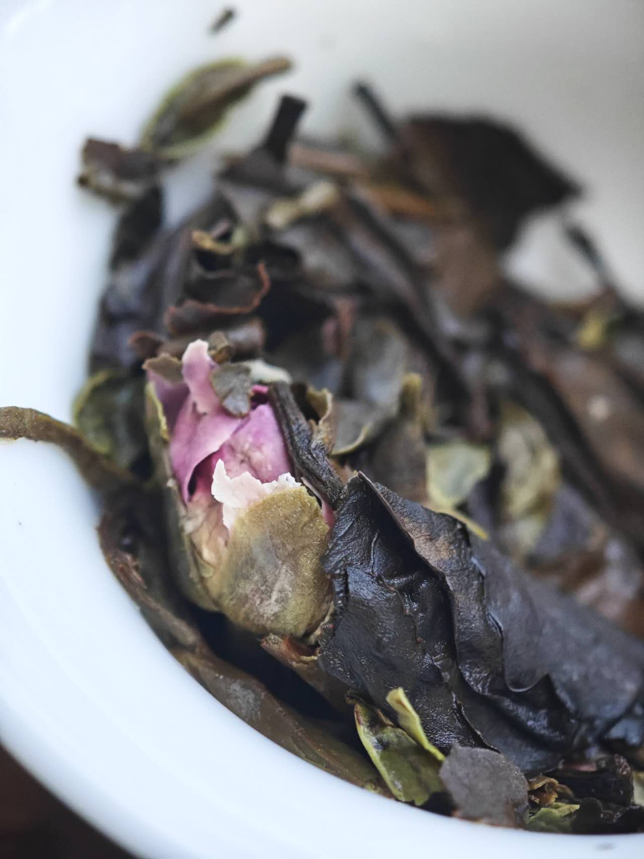 老白茶小饼干系列 Lao Baicha series with 5 variety: Original /Jasmine /Osmanthus /Rose/ Chenpi , 4 Pieces per Variety ( 5g per piece), 20 pieces in a Package - 6leaves 357