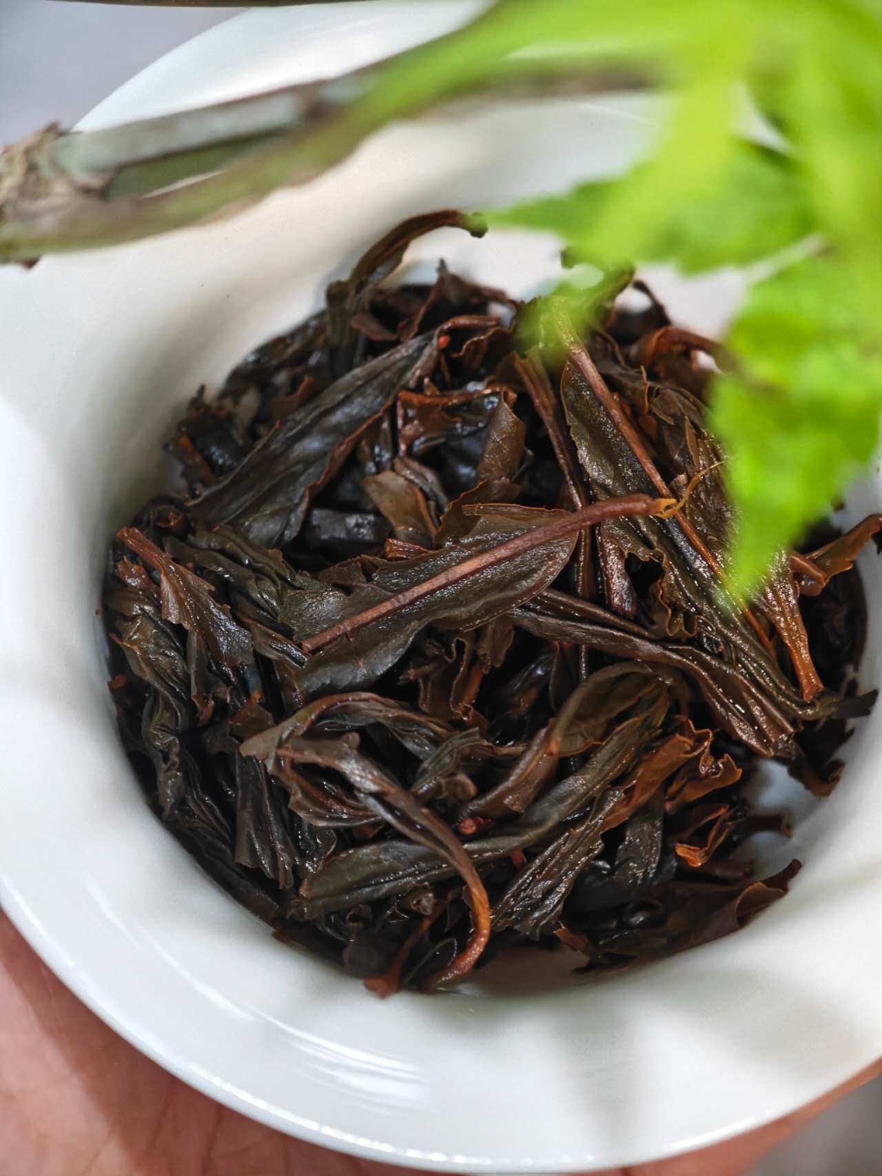 正山桐木红茶 Zheng Shan Tongmuguan Hongcha, 50g Package - 6leaves 357