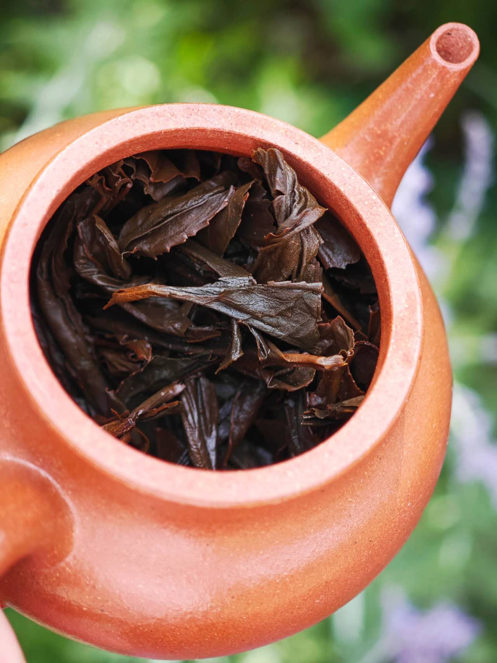 正山桐木红茶 Zheng Shan Tongmuguan Hongcha, 50g Package - 6leaves 357