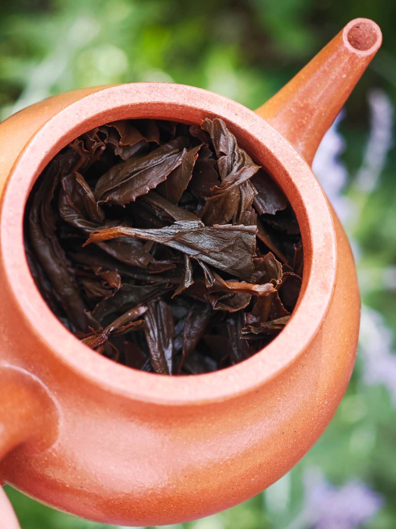 正山桐木红茶 Zheng Shan Tongmuguan Hongcha, 50g Package - 6leaves 357